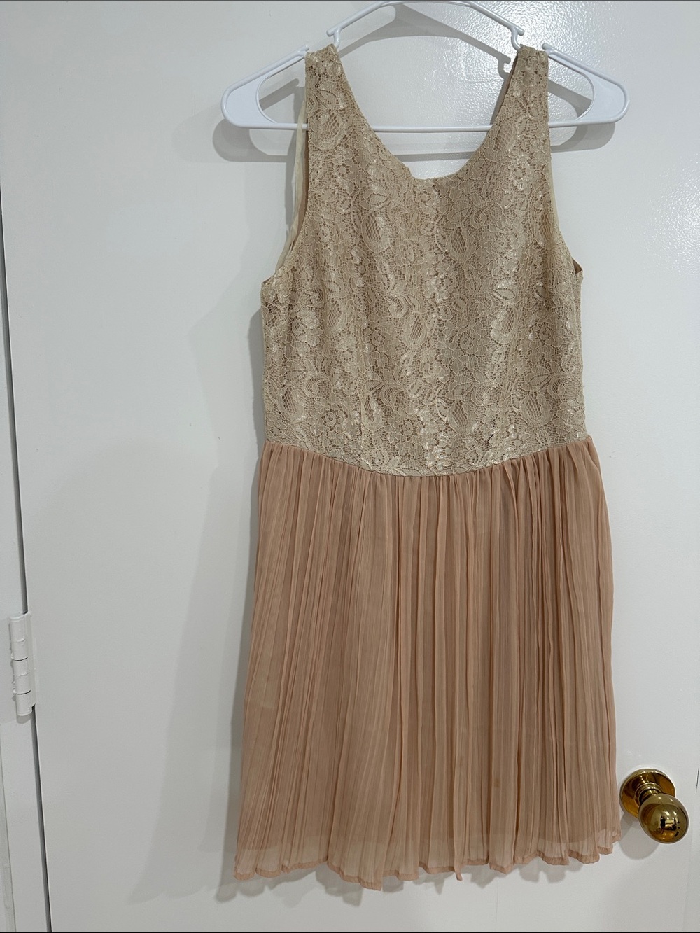 Sleeveless Lace Bodice Pleated Formal Dress in Nude